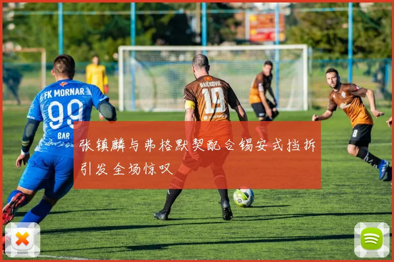 张镇麟与弗格默契配合锡安式挡拆引发全场惊叹