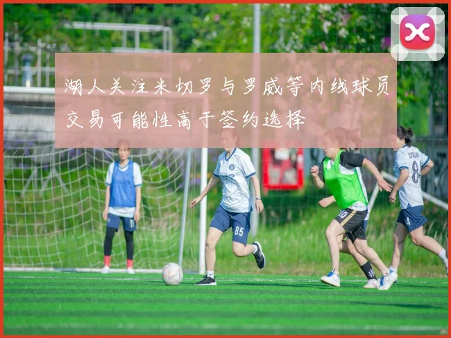 湖人关注米切罗与罗威等内线球员交易可能性高于签约选择