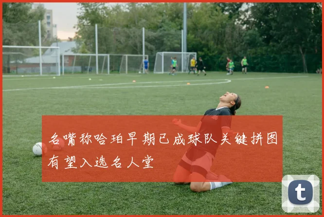 名嘴称哈珀早期已成球队关键拼图有望入选名人堂